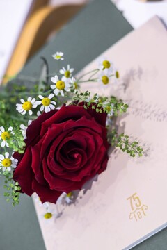 DU 75 let